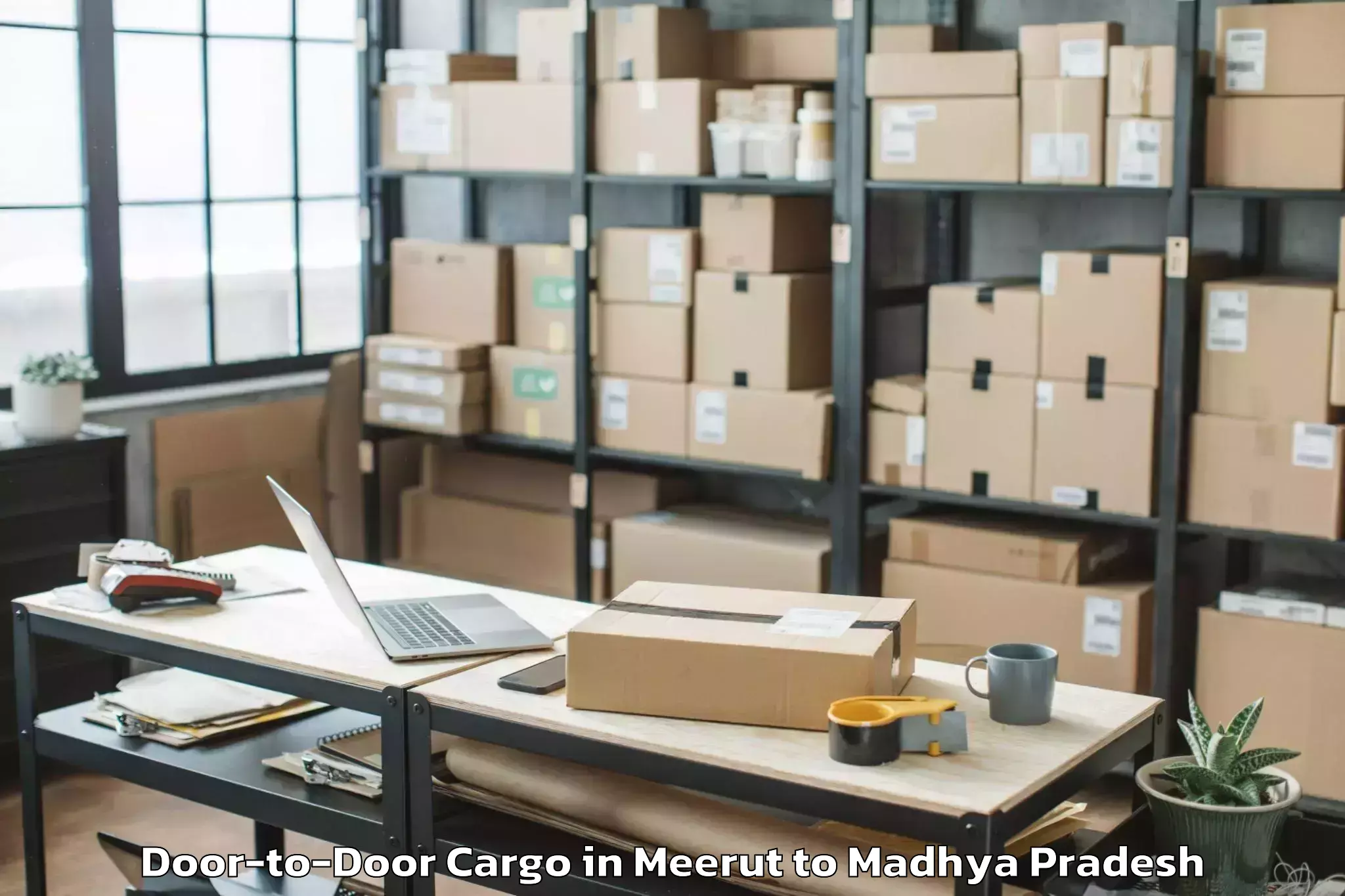 Quality Meerut to Sidhi Door To Door Cargo